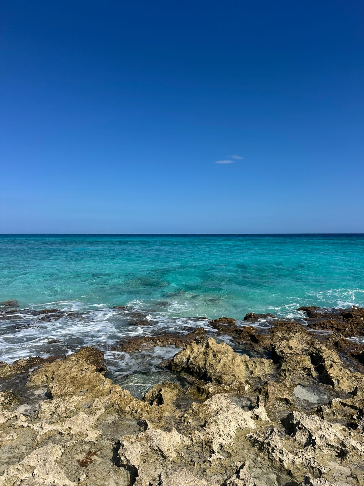 Cozumel coastline