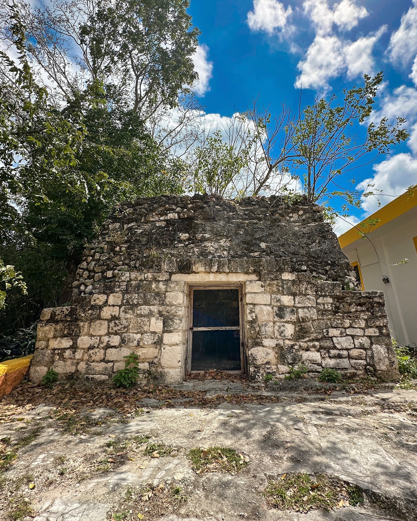 El Cedral Cozumel